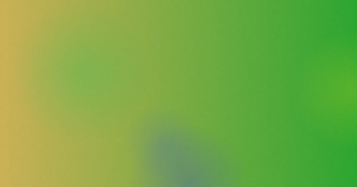 丁香婷婷六月测评：别踩这些坑